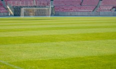 九游娱乐竞技-西雅图海湾者主场优势明显，球迷期待逆转奇迹