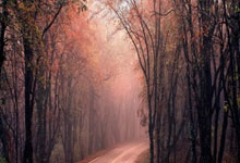 欧洲顶级联赛球队点对点较量，积分榜再次翻新，欧洲各球队联赛