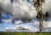 梅斯队球员在比赛中表现出色获赞：一场激情与智慧交织的胜利