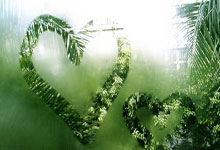 韩国击剑选手力挫对手，获得金牌