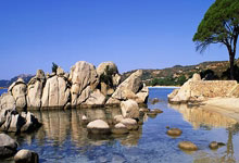 火箭队险胜骑士，冲入季后赛大门