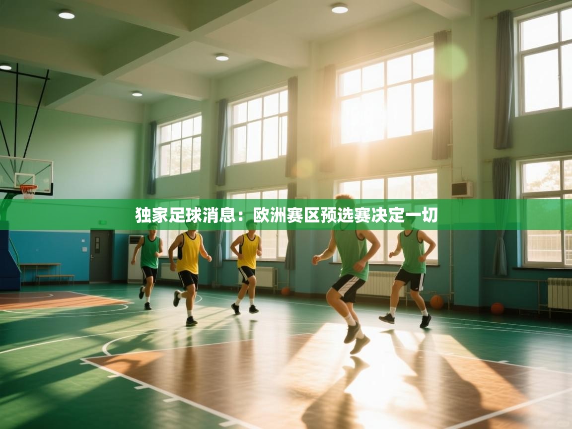 独家足球消息:欧洲赛区预选赛决定一切 第1张