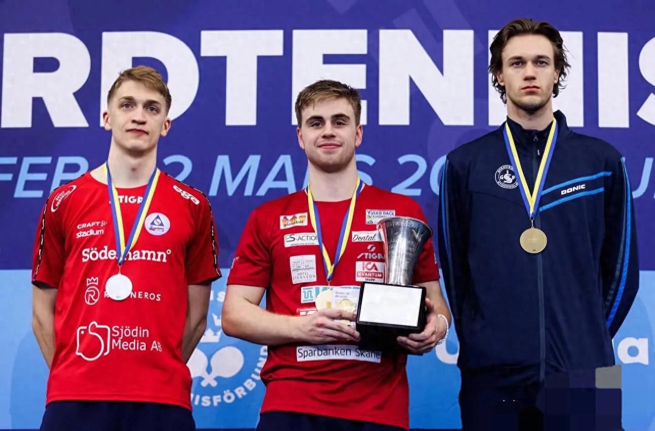 瑞典首战胜斯洛伐克取得首胜的简单介绍